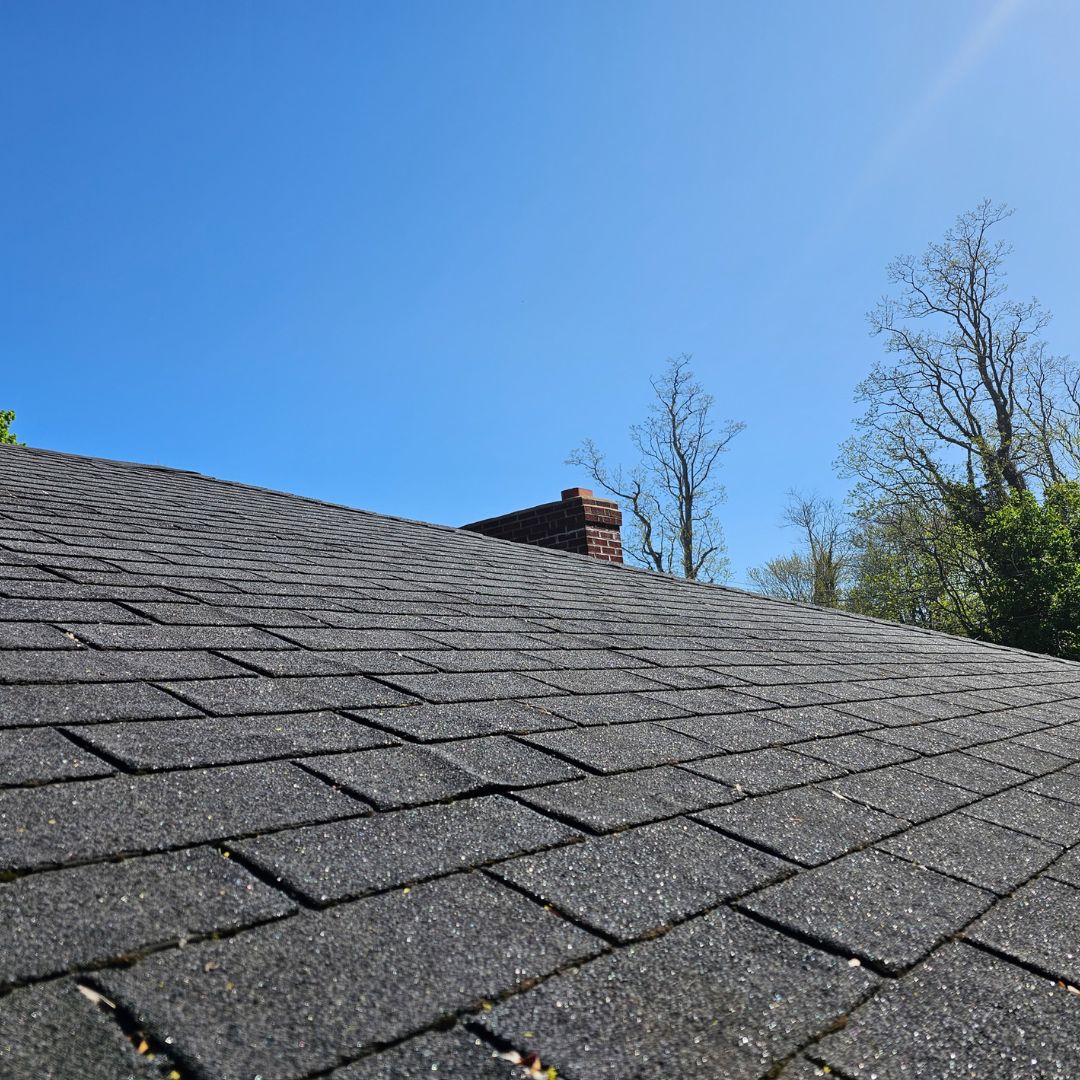 roof shingles